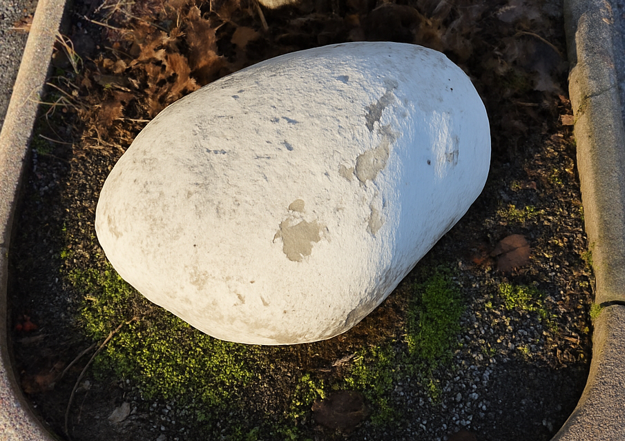 Vitmossestenen vid gångbanan på Vitmossevägen